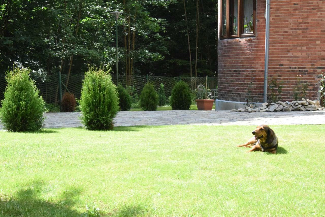 Willa Alkor Drzensko  Ngoại thất bức ảnh